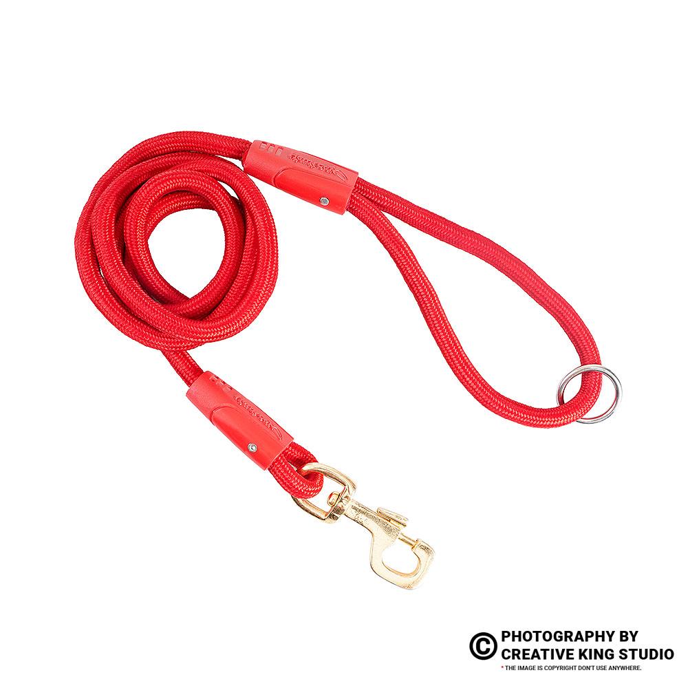 dog belt photography 01 | ckstudio | +91-8700258773