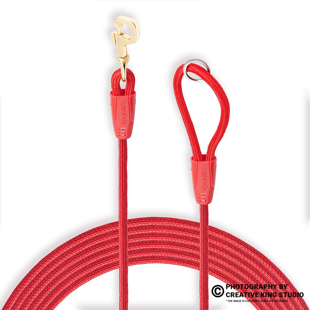 dog belt photography 02 | ckstudio | +91-8700258773