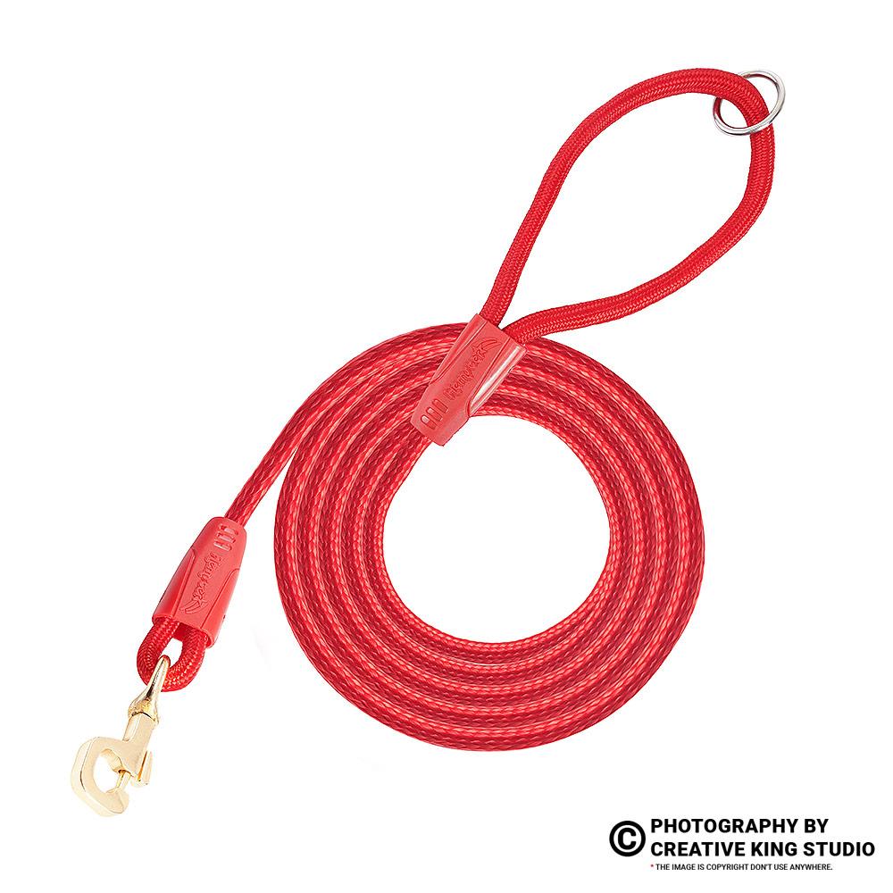 dog belt photography 04 | ckstudio | +91-8700258773