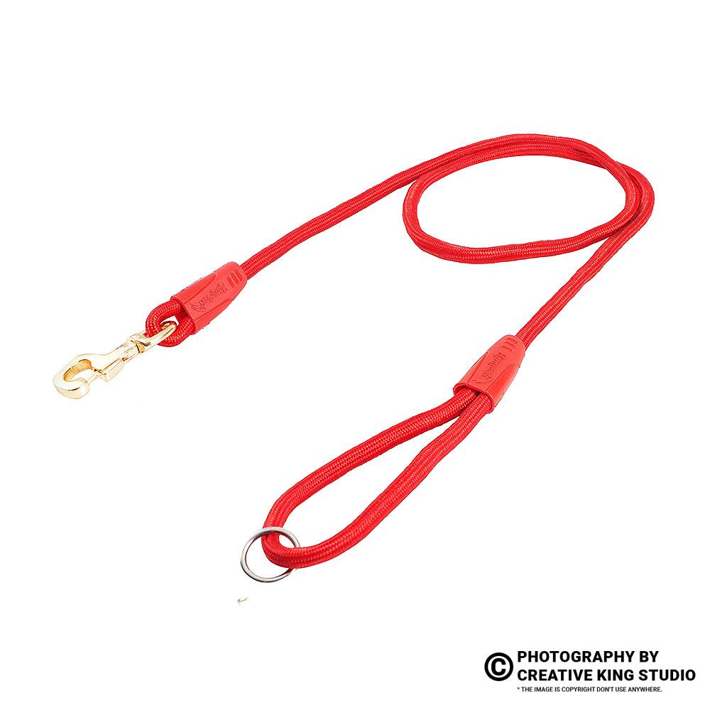 dog belt photography 05 | ckstudio | +91-8700258773