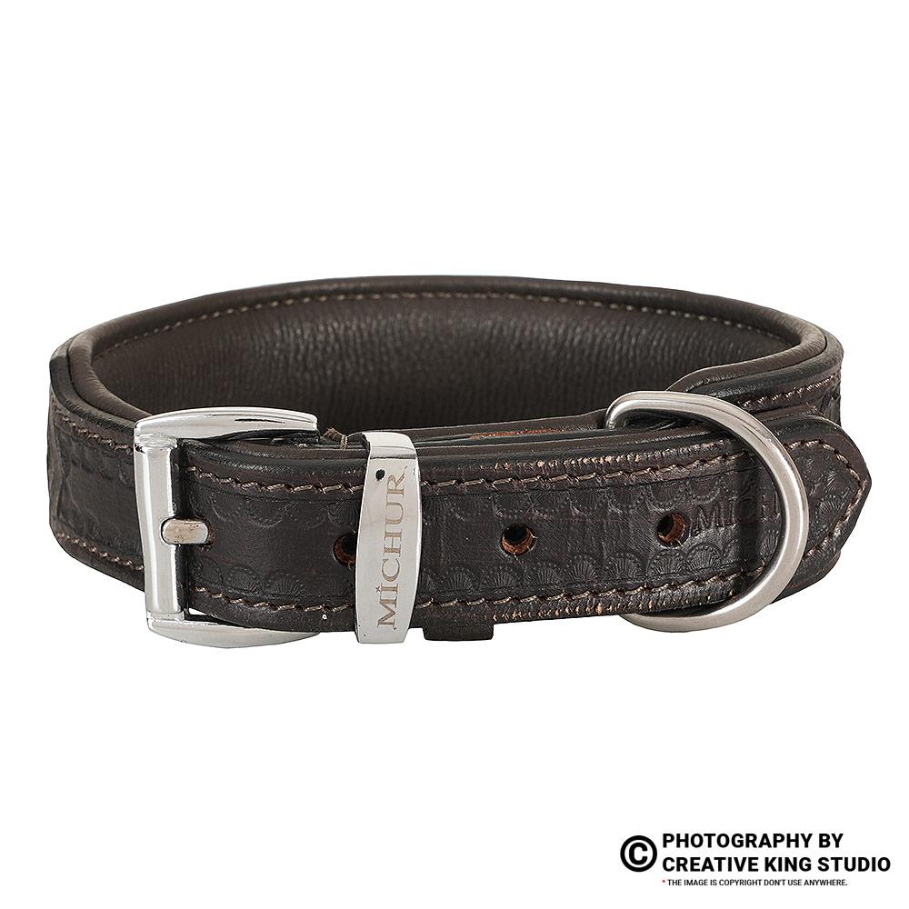 dog belt photography 06 | ckstudio | +91-8700258773