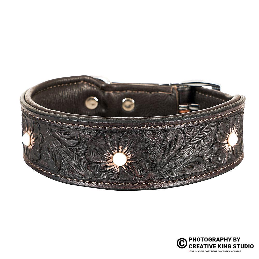 dog belt photography 07 | ckstudio | +91-8700258773