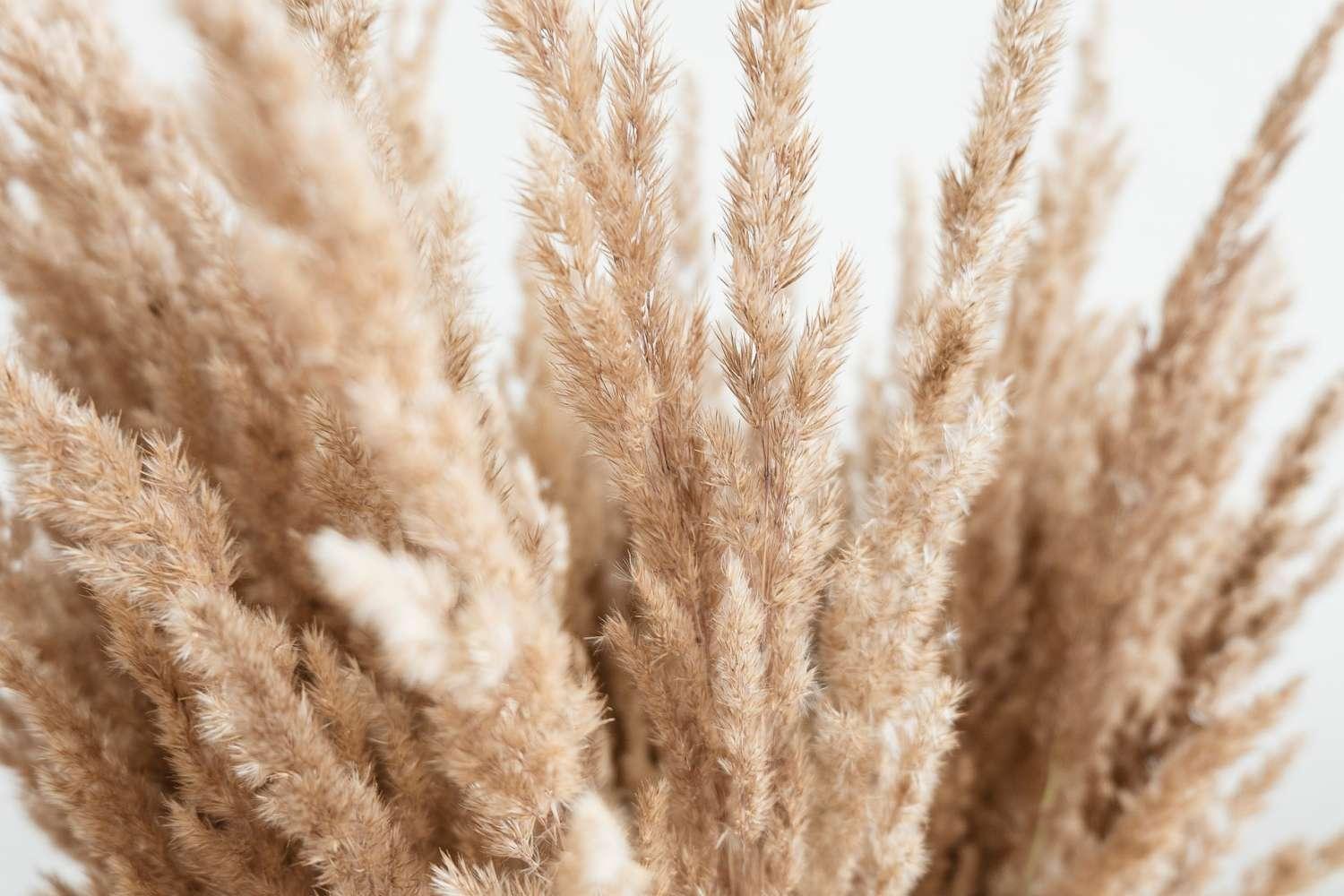katsia jazwinska dxiFrXpcyCA unsplash | ckstudio | +91-8700258773 katsia jazwinska dxiFrXpcyCA unsplash | ckstudio | +91-8700258773