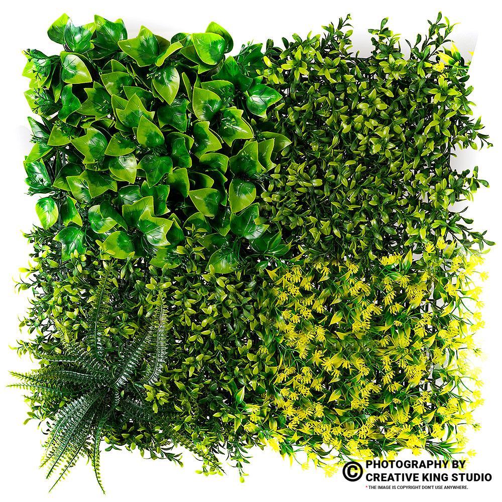 wallpapers photography 06 | ckstudio | +91-8700258773