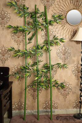 creative photography 62 | ckstudio | +91-8700258773