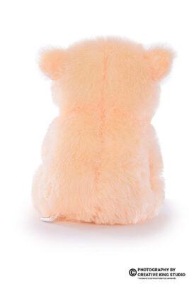 cushion photography 07 | ckstudio | +91-8700258773