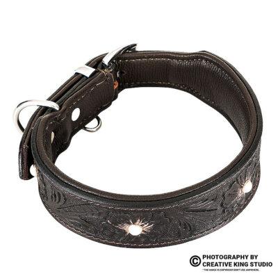 dog belt photography 08 | ckstudio | +91-8700258773