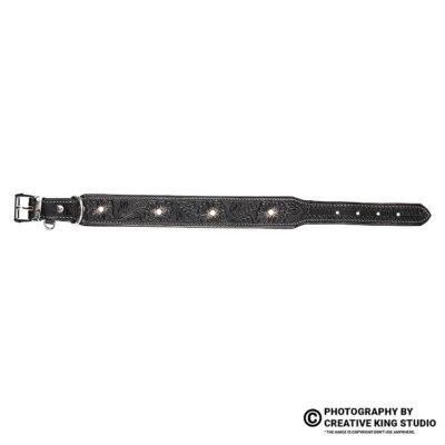 dog belt photography 13 | ckstudio | +91-8700258773