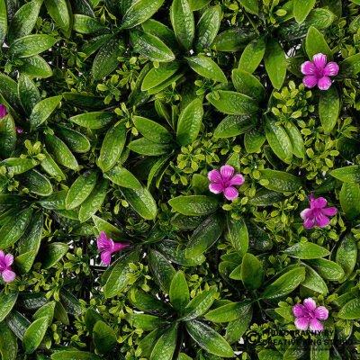 wallpapers photography 10 | ckstudio | +91-8700258773