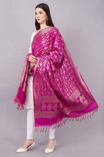 Ckstudio shot of model wearing a pink and gold embroidered shawl on a plain gray background, E-Commerce Photography